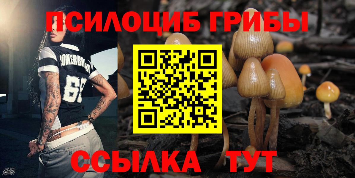 Галлюциногенные грибы ЛСД Тобольск